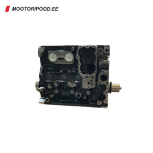 FPT Tector 4-sylinterinen F4AE0481/0482 - uusi short block